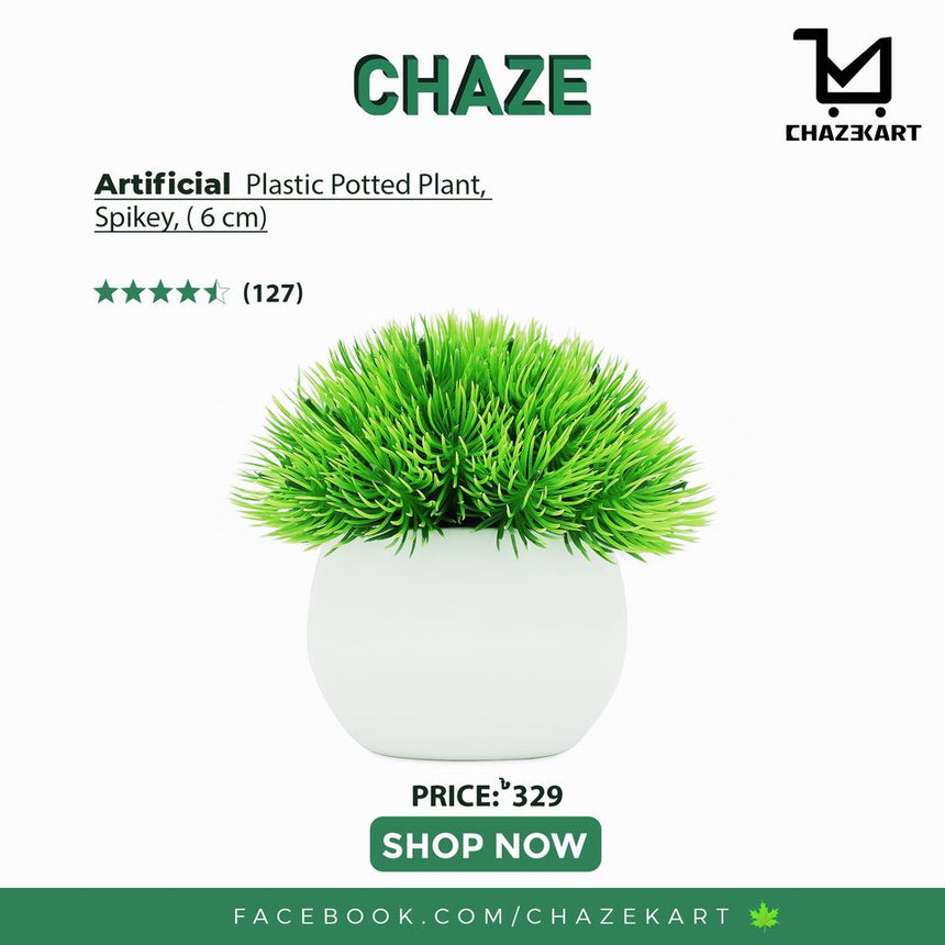 CHAZE Spikey, Plastic, indoor/outdoor plant 6 cm