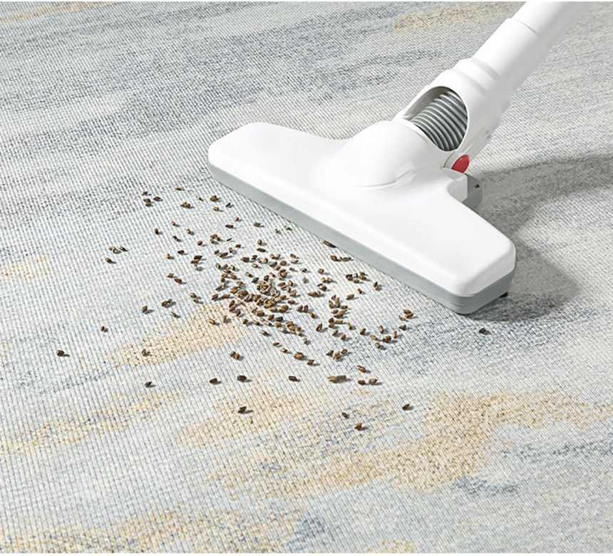 Chaze Varneth Luxury Carpets Water Resistant 200x300 cm