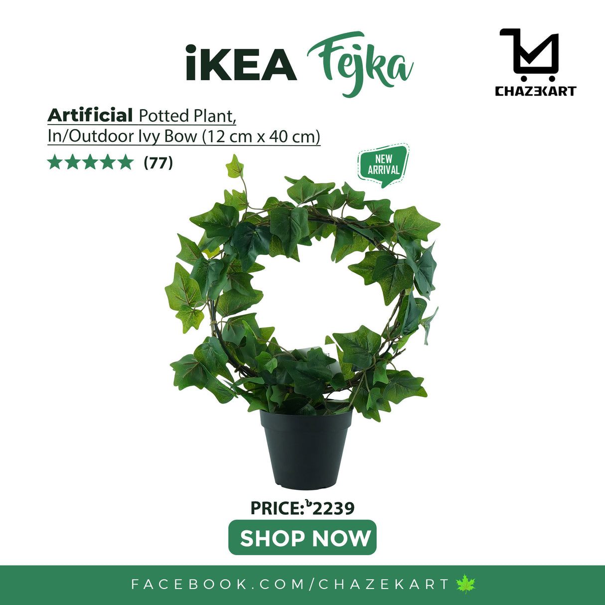 IKEA FEJKA artificial potted plant in/outdoor/Ivy bow, 12 cm