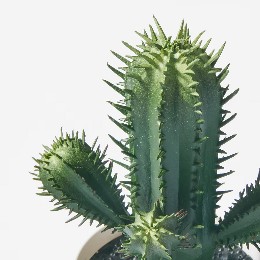 IKEA FEJKA Artificial potted plant, in/outdoor Cactus, 6 cm