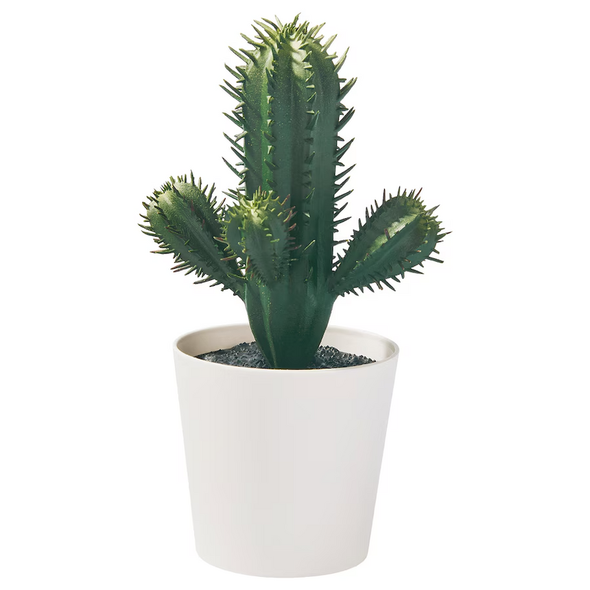 IKEA FEJKA Artificial potted plant, in/outdoor Cactus, 6 cm