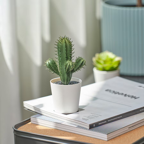 IKEA FEJKA Artificial potted plant, in/outdoor Cactus, 6 cm