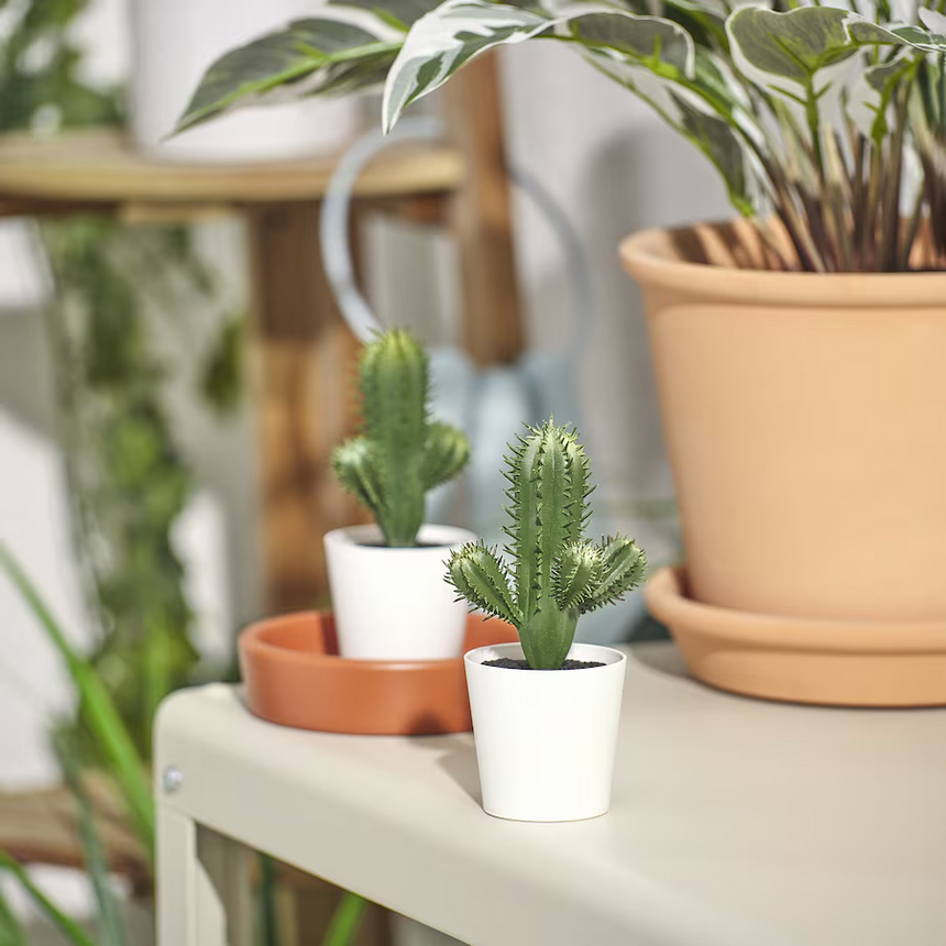 IKEA FEJKA Artificial potted plant, in/outdoor Cactus, 6 cm