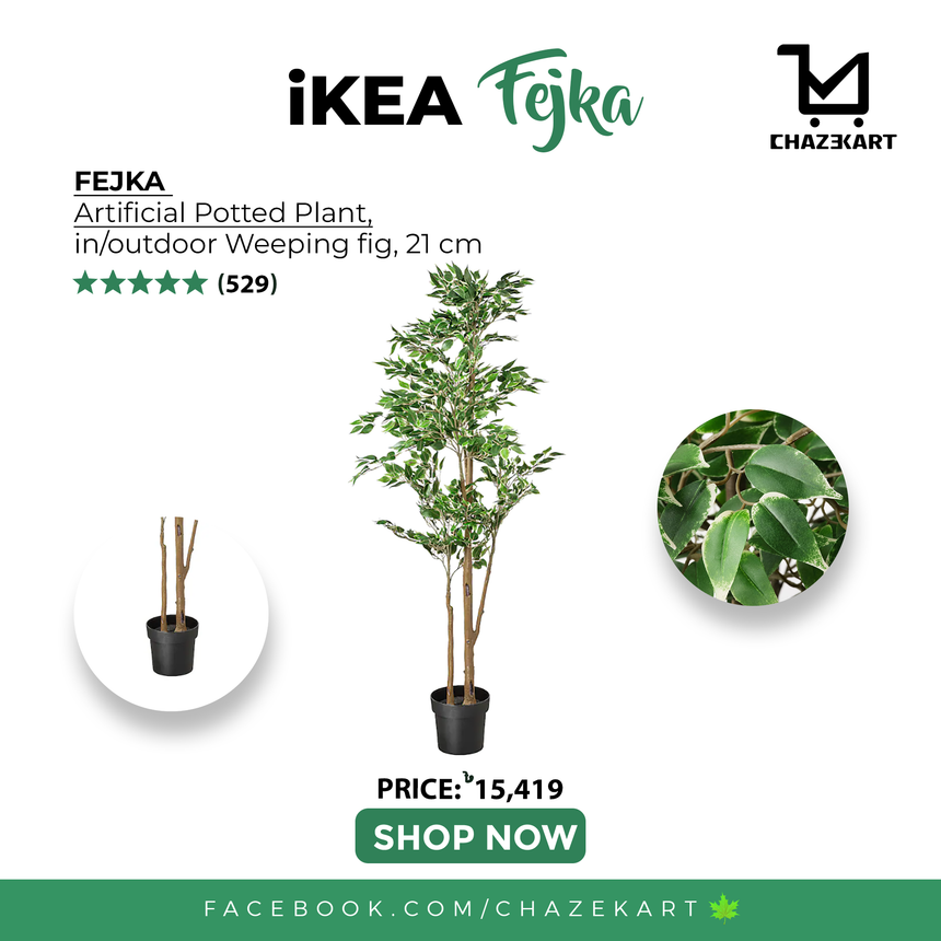 IKEA FEJKA Artificial potted plant, in/outdoor Weeping fig, 21 cm