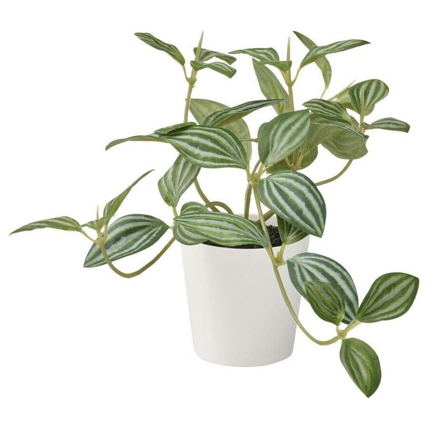 IKEA FEJKA Artificial potted plant with pot, in/outdoor Peperomia, 6 cm