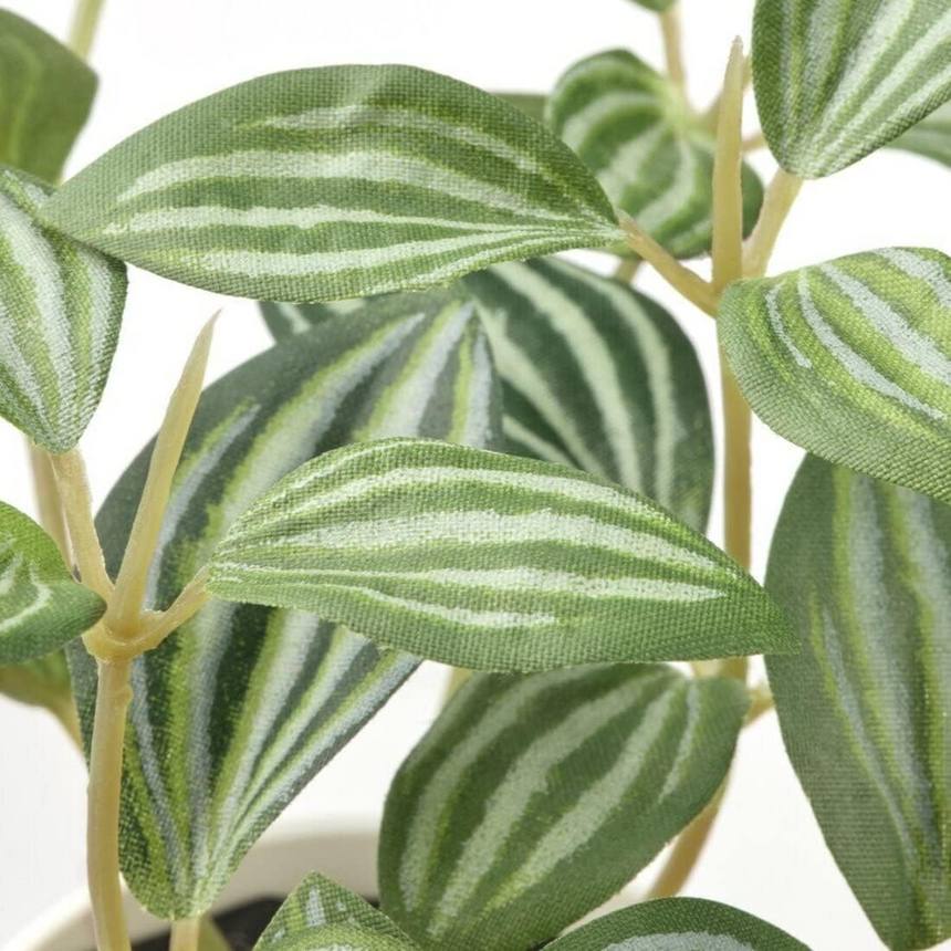 IKEA FEJKA Artificial potted plant with pot, in/outdoor Peperomia, 6 cm