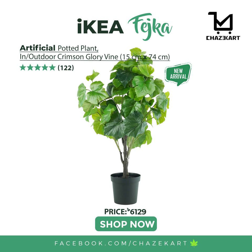 IKEA FEJKA Artificial potted plant, in/outdoor Crimson glory vine, 15 cm