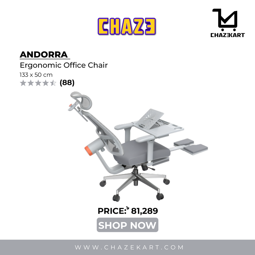 Chaze Andorra Ergonomic Office Chair with Auto-following Lumbar Support