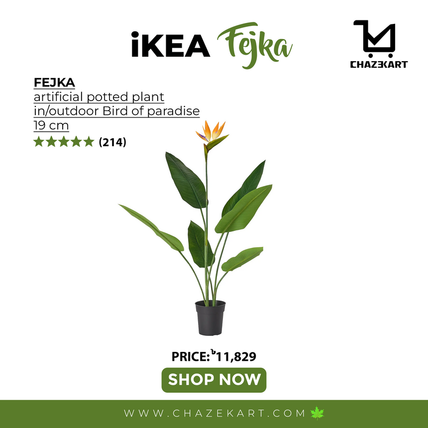 FEJKA artificial potted plant, in/outdoor Bird of paradise, 19 cm