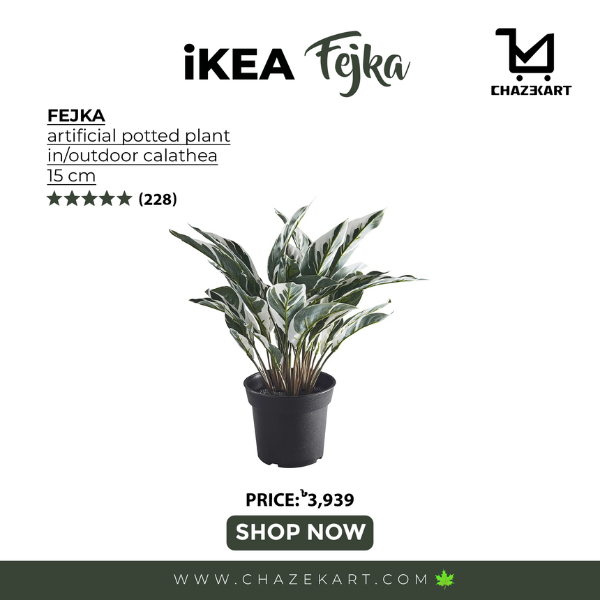 FEJKA artificial potted plant, in/outdoor calathea, 15 cm