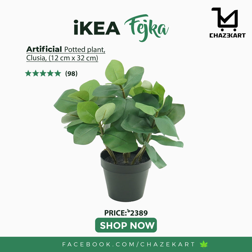 IKEA FEJKA Artificial potted plant, in/outdoor Clusia, 12 cm