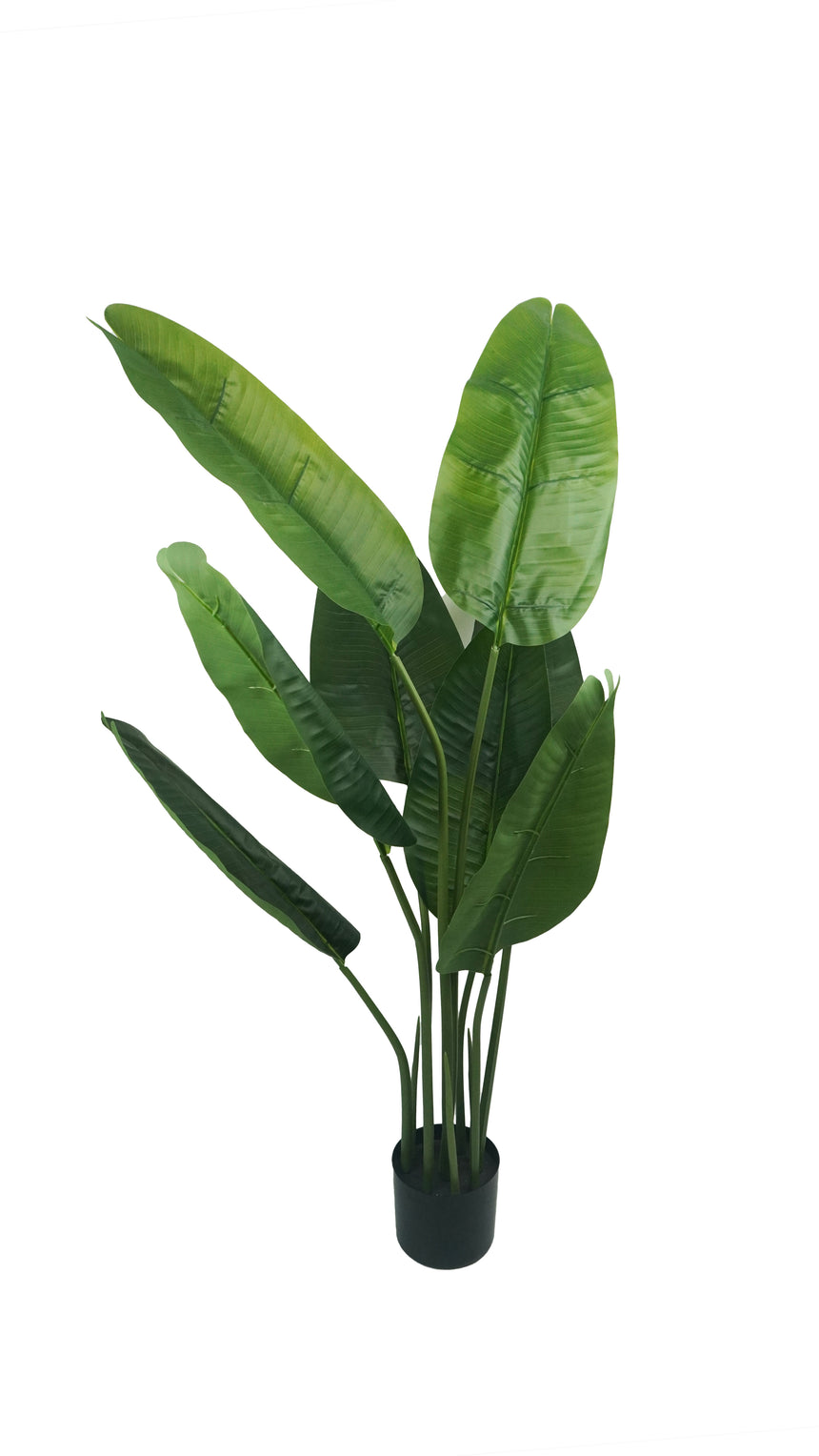 CHAZE Artificial Banana Plant 13 cm