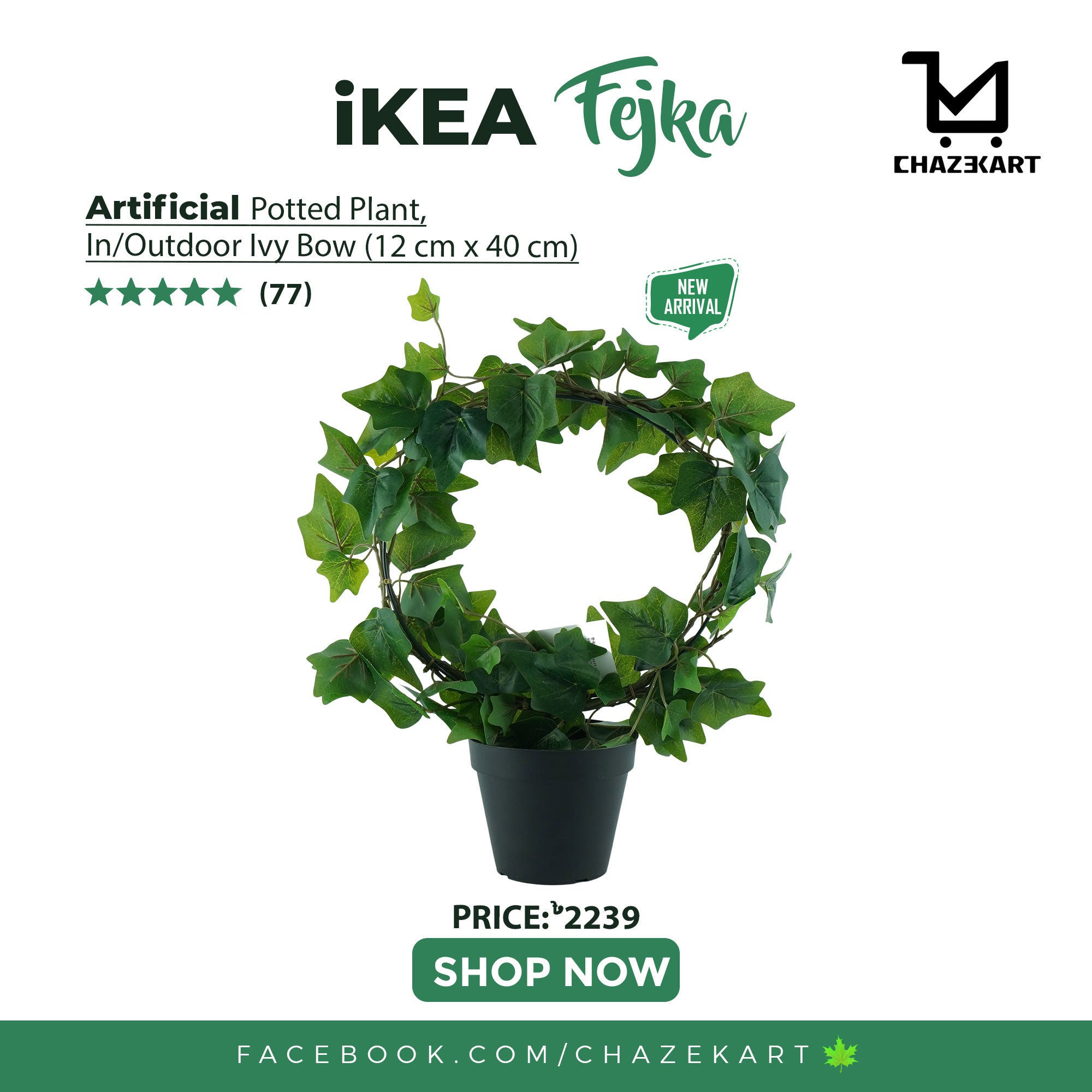 IKEA FEJKA artificial potted plant in/outdoor/Ivy bow, 12 cm