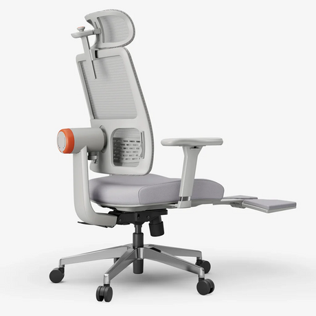 Chaze Andorra Ergonomic Office Chair with Auto-following Lumbar Support