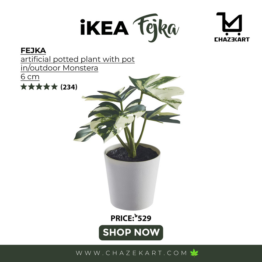 FEJKA artificial potted plant with pot, in/outdoor Monstera, 6 cm