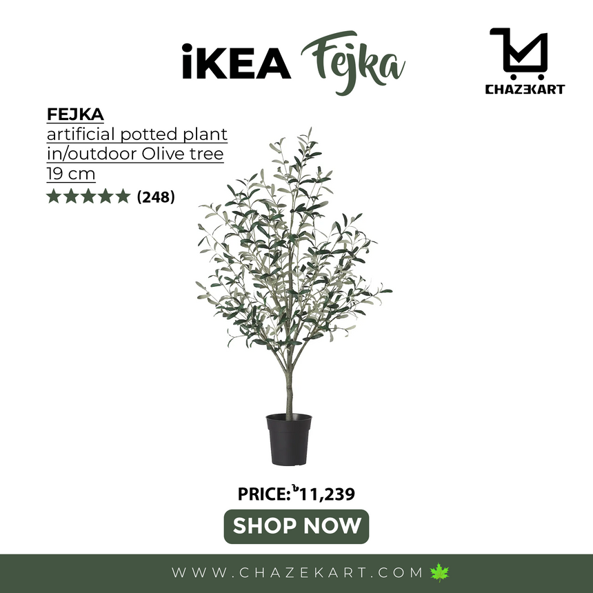 FEJKA artificial potted plant, in/outdoor Olive tree, 19 cm