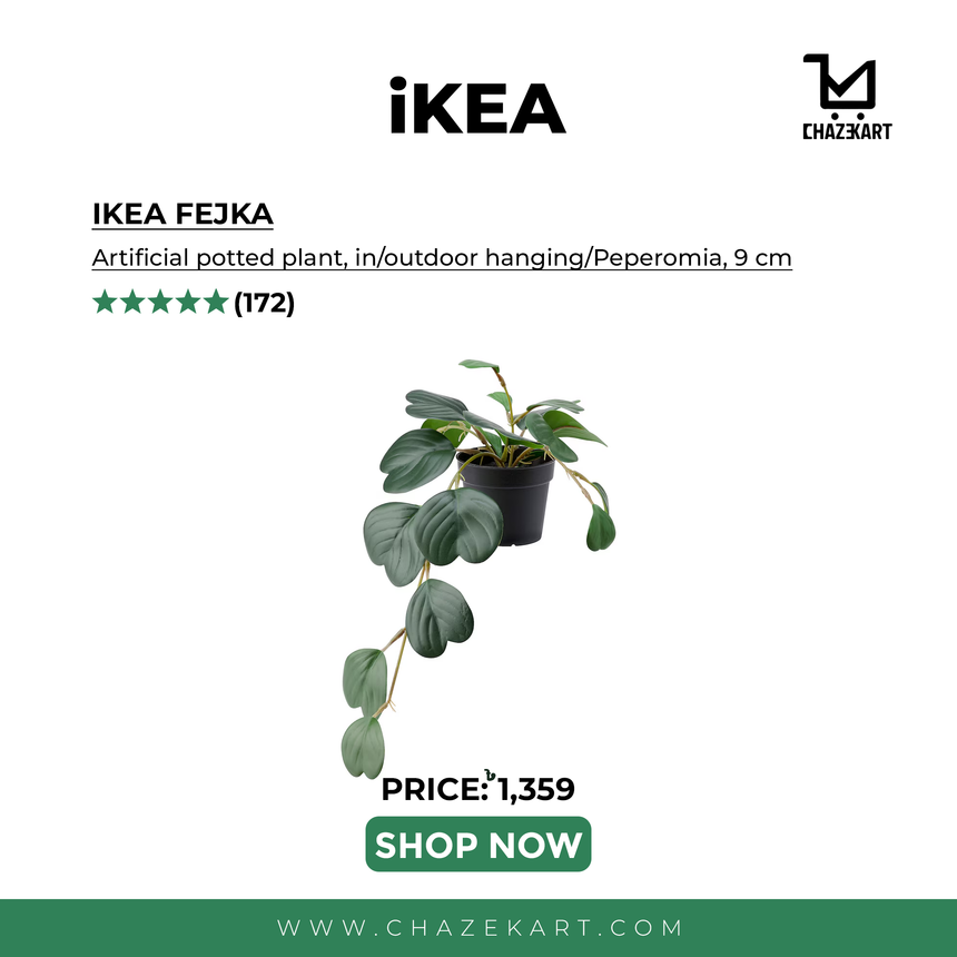 IKEA FEJKA Artificial potted plant, in/outdoor hanging/Peperomia, 9 cm