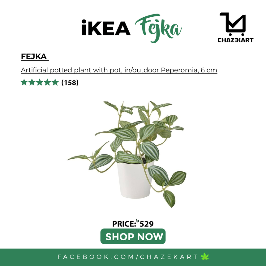 IKEA FEJKA Artificial potted plant with pot, in/outdoor Peperomia, 6 cm