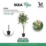 IKEA FEJKA Artificial potted plant, in/outdoor Rubber plant, 23 cm