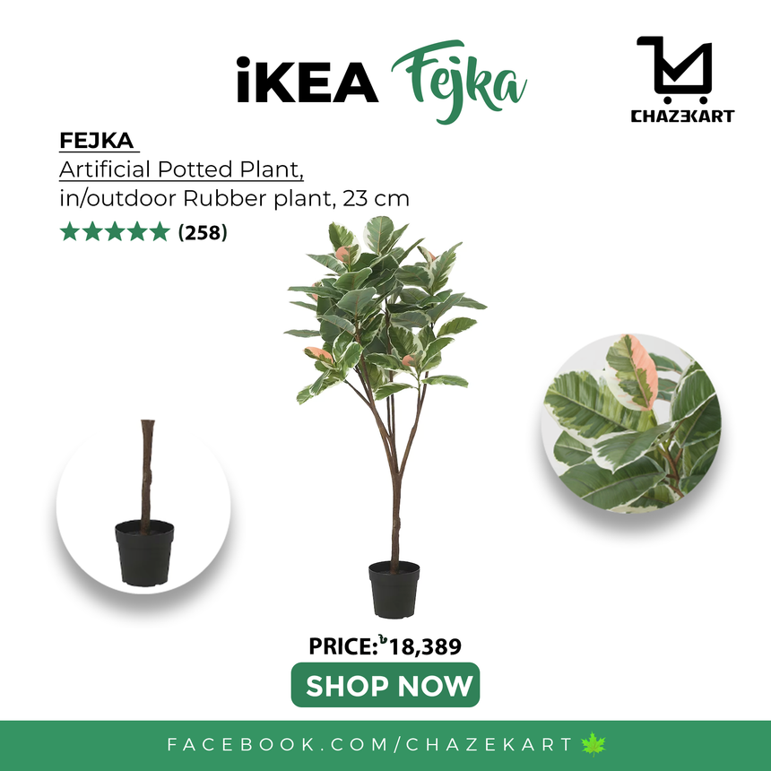 IKEA FEJKA Artificial potted plant, in/outdoor Rubber plant, 23 cm