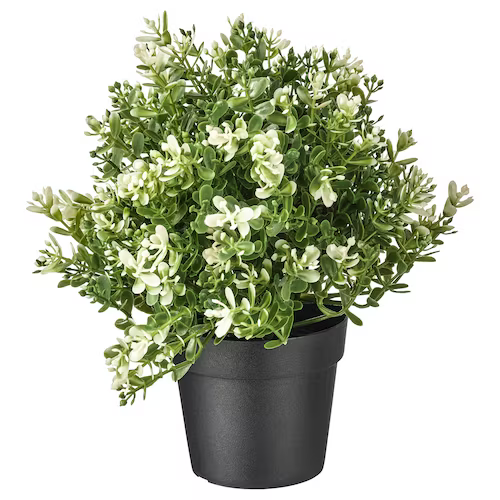 IKEA FEJKA Artificial potted plant, Thyme 9 cm