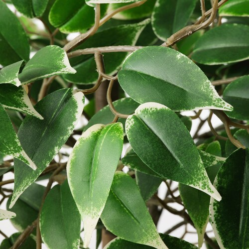 IKEA FEJKA Artificial potted plant, in/outdoor Weeping fig, 21 cm