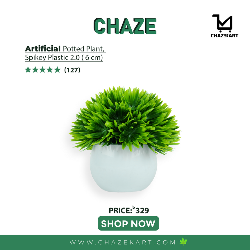 CHAZE Spikey, Plastic, indoor/outdoor plant 2.0 (6 cm)