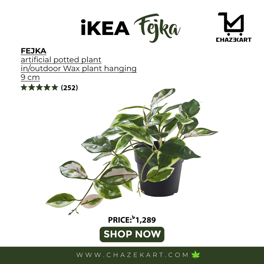 FEJKA artificial potted plant, in/outdoor/Wax plant hanging, 9 cm