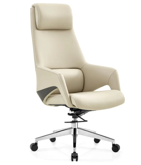 Chaze Oblast Lazy Kneeler Ergonomic Office chair