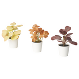 IKEA FEJKA artifi potted plant w pot, set of 3, in/outdoor leaves, 6 cm