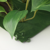 IKEA FEJKA Artificial plant, wall mounted/in/outdoor 26x26 cm