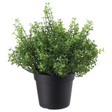 IKEA FEJKA Artificial potted plant, in/outdoor Baby’s tears, 9 cm