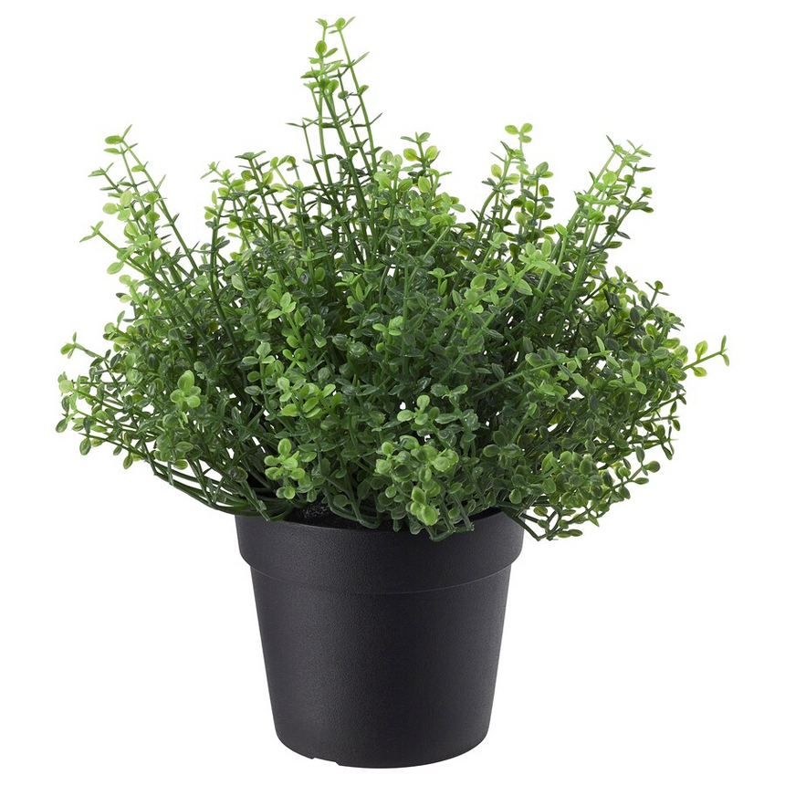 IKEA FEJKA Artificial potted plant, in/outdoor Baby’s tears, 9 cm