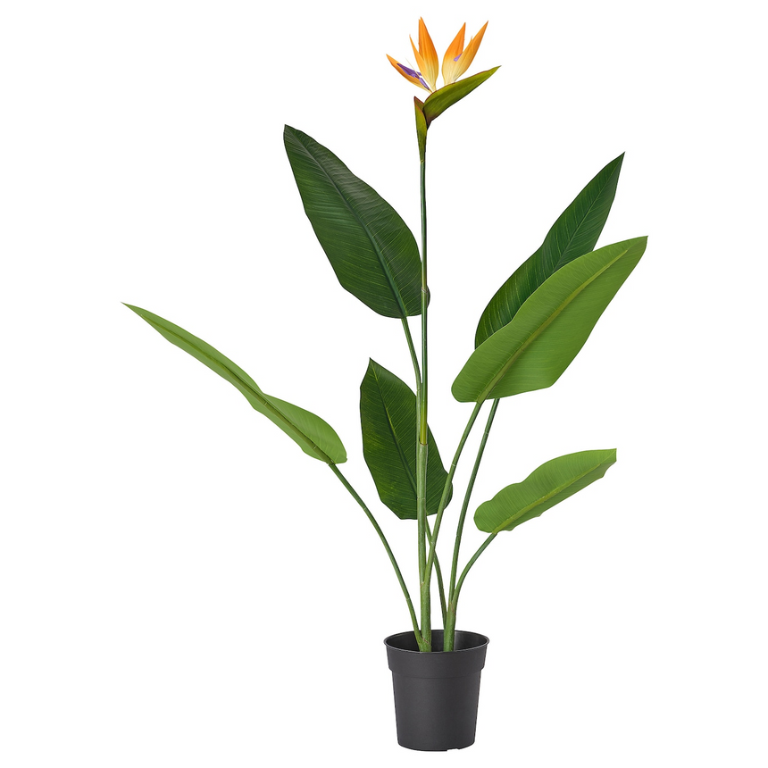 FEJKA artificial potted plant, in/outdoor Bird of paradise, 19 cm