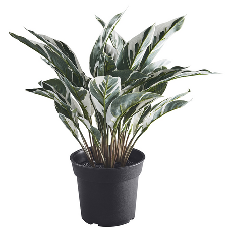 FEJKA artificial potted plant, in/outdoor calathea, 15 cm