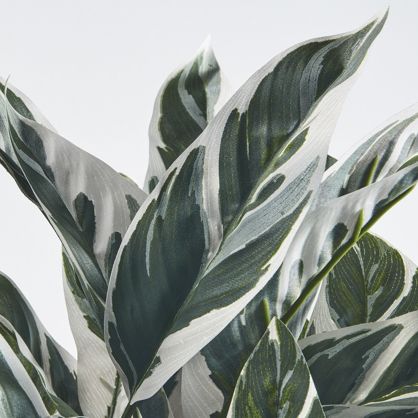 FEJKA artificial potted plant, in/outdoor calathea, 15 cm