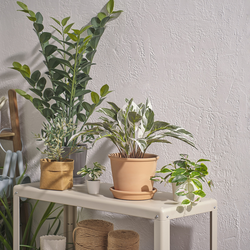 FEJKA artificial potted plant, in/outdoor calathea, 15 cm