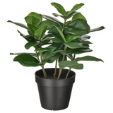 IKEA FEJKA Artificial potted plant, in/outdoor Clusia, 12 cm