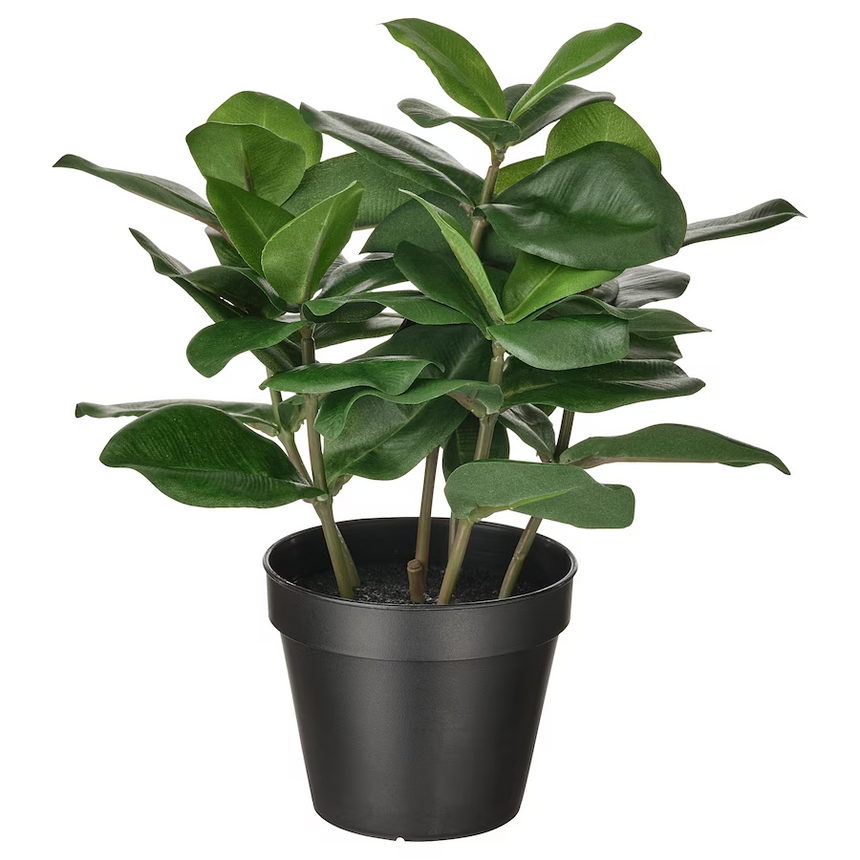 IKEA FEJKA Artificial potted plant, in/outdoor Clusia, 12 cm