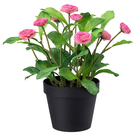 IKEA FEJKA Artificial potted plant, in/outdoor/Common daisy pink, 12 cm