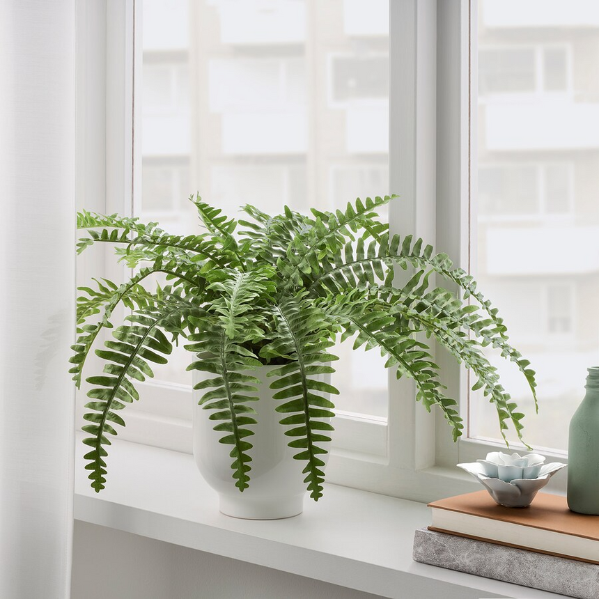 IKEA FEJKA Artificial potted plant, in/outdoor fern, 15 cm