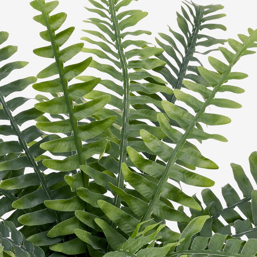 IKEA FEJKA Artificial potted plant, in/outdoor fern, 15 cm