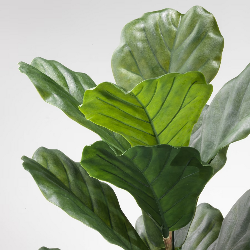 IKEA FEJKA Artificial potted plant, in/outdoor fiddle-leaf fig, 19 cm