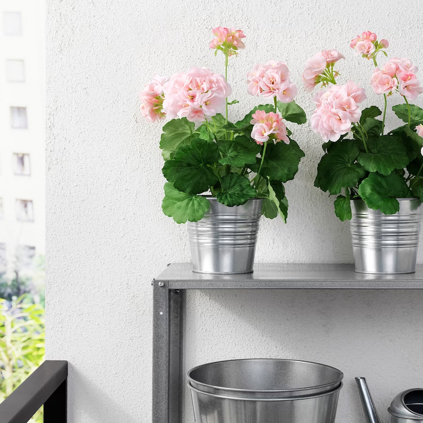 IKEA FEJKA Artificial potted plant, in/outdoor/Geranium pink, 12 cm