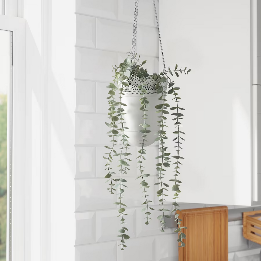 IKEA FEJKA Artificial potted plant, in/outdoor hanging/eucalyptus, 9 cm