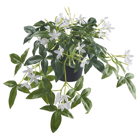 FEJKA artificial potted plant, in/outdoor/hanging jasmine, 12 cm