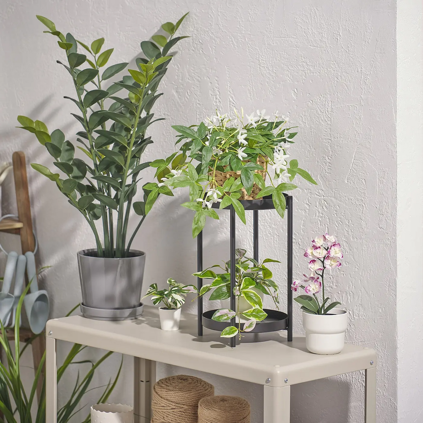 FEJKA artificial potted plant, in/outdoor/hanging jasmine, 12 cm