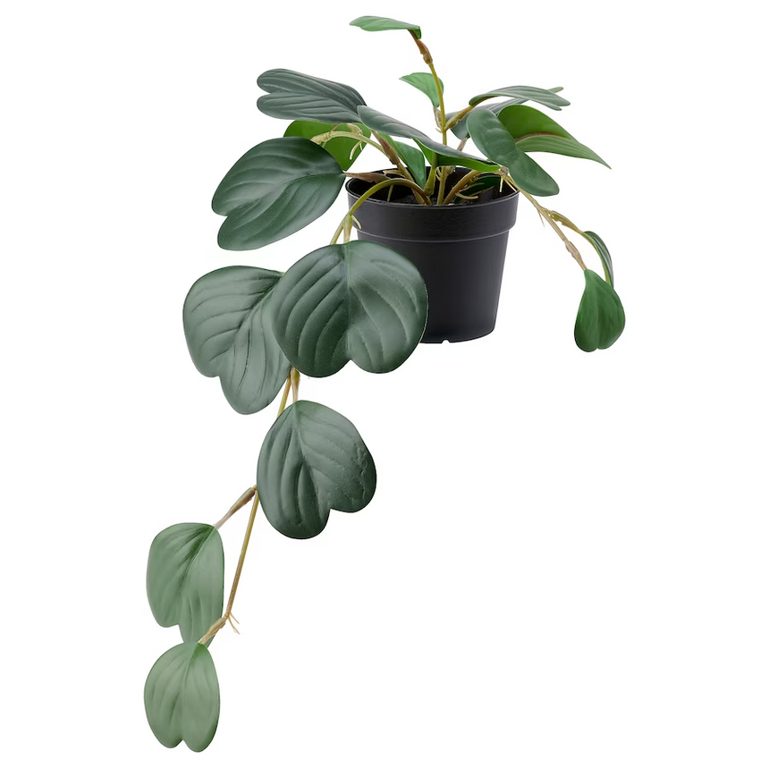 IKEA FEJKA Artificial potted plant, in/outdoor hanging/Peperomia, 9 cm