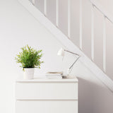 IKEA FEJKA Artificial potted plant, in/outdoor House bamboo, 9 cm