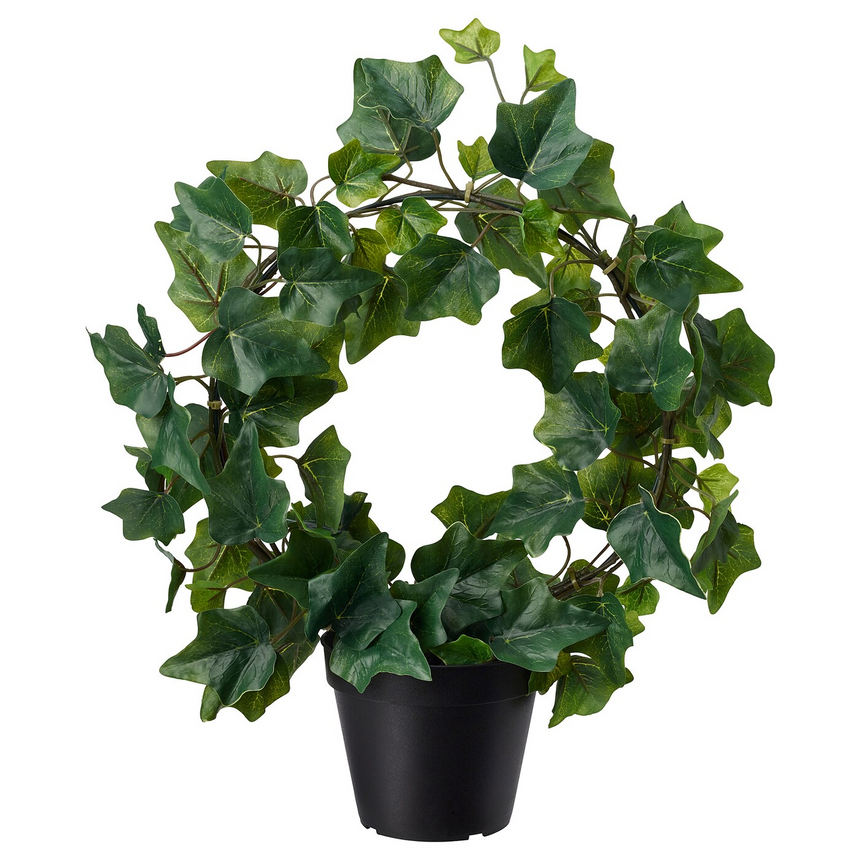 IKEA FEJKA artificial potted plant in/outdoor/Ivy bow, 12 cm